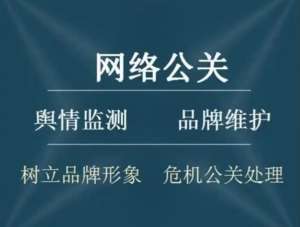 定制化品牌推广方案 适